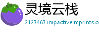 灵境云栈